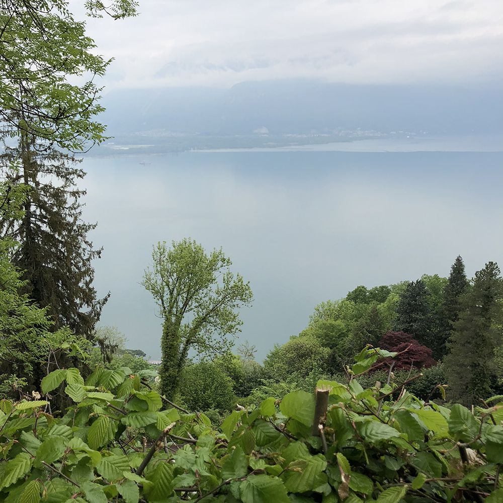 Déménagemetn particulier à Glion au dessus de Montreux avec un funiculaire