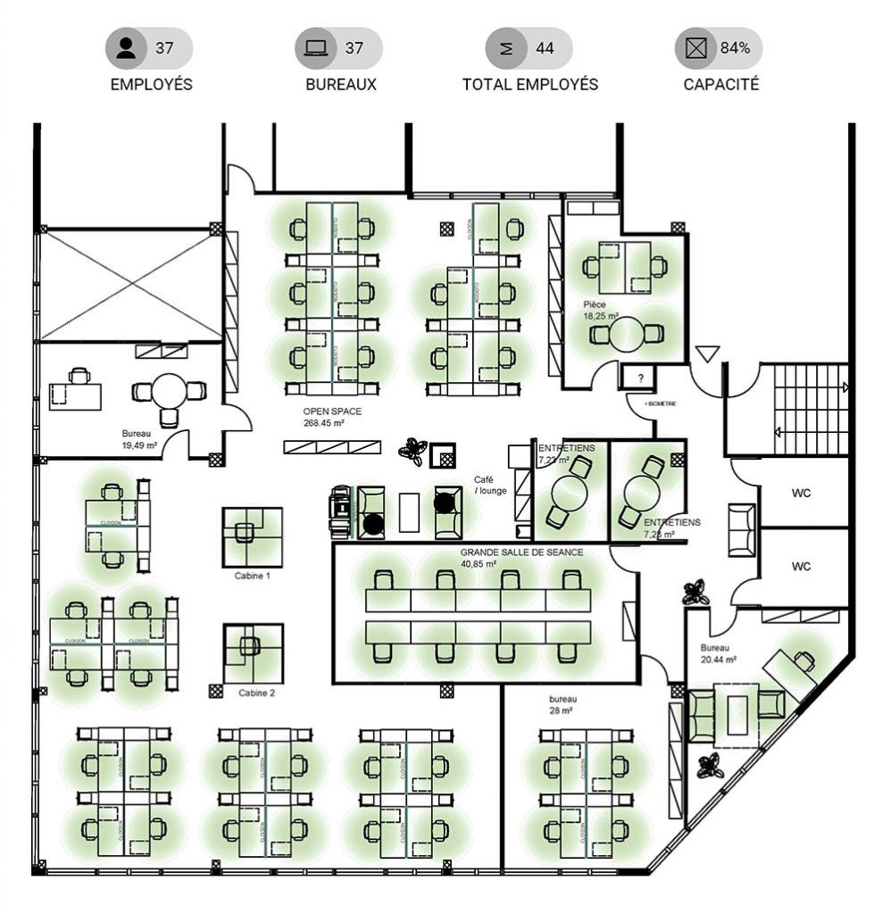 plan vert pour reamenagement de bureau